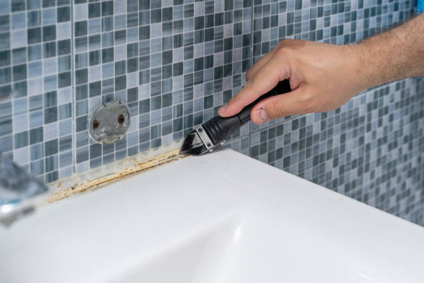Best Preventive Mold Services in Somerset, NJ